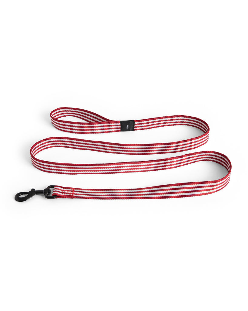 Stripe Dog Leash - Red & White