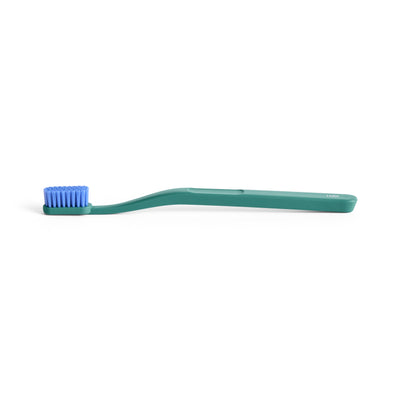Tann Toothbrush - Pine & Blue