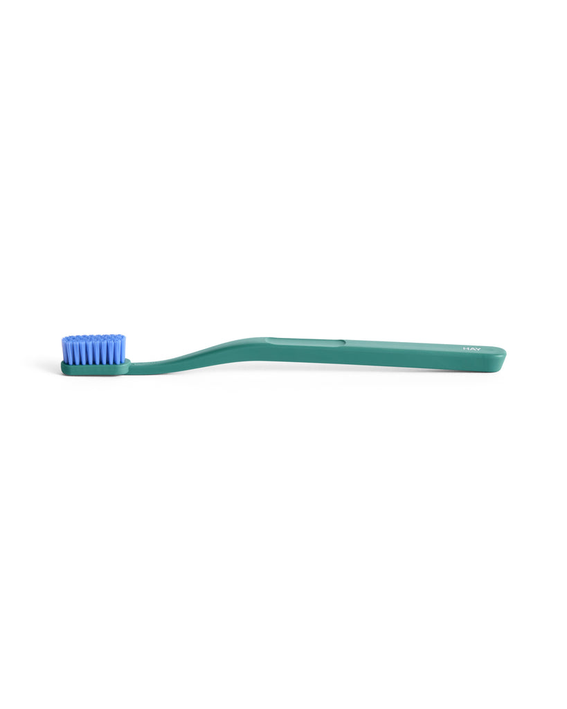 Tann Toothbrush - Pine & Blue