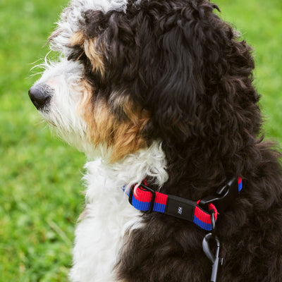 Two Tone Dog Collar - Red & Blue