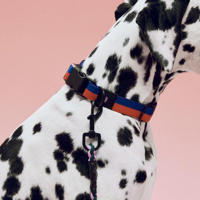Two Tone Dog Collar - Red & Blue