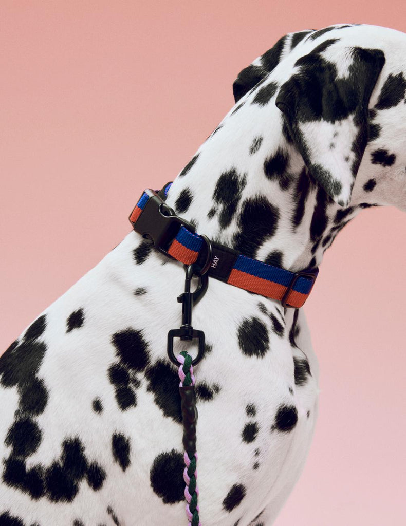 Two Tone Dog Collar - Red & Blue