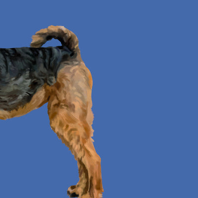 Heads & Tails - Dog Memory Cards