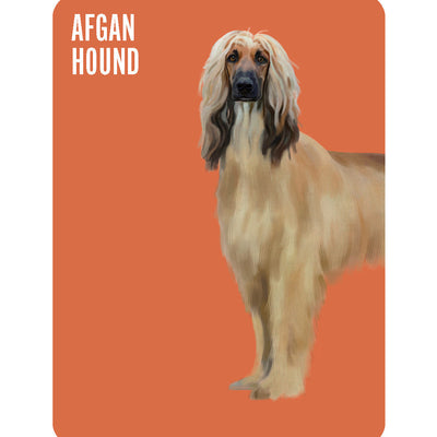 Heads & Tails - Dog Memory Cards