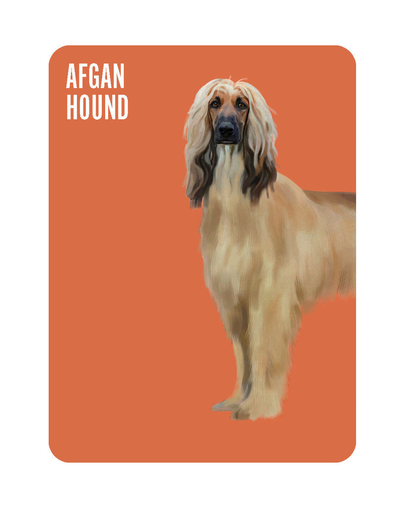 Heads & Tails - Dog Memory Cards