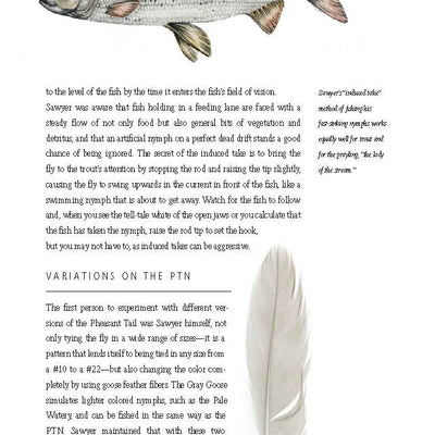 History of Fly-Fishing in Fifty Flies