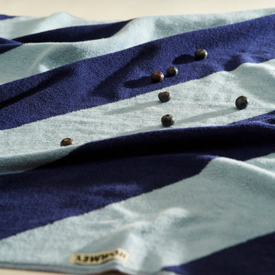 Blueberry Beach Towel
