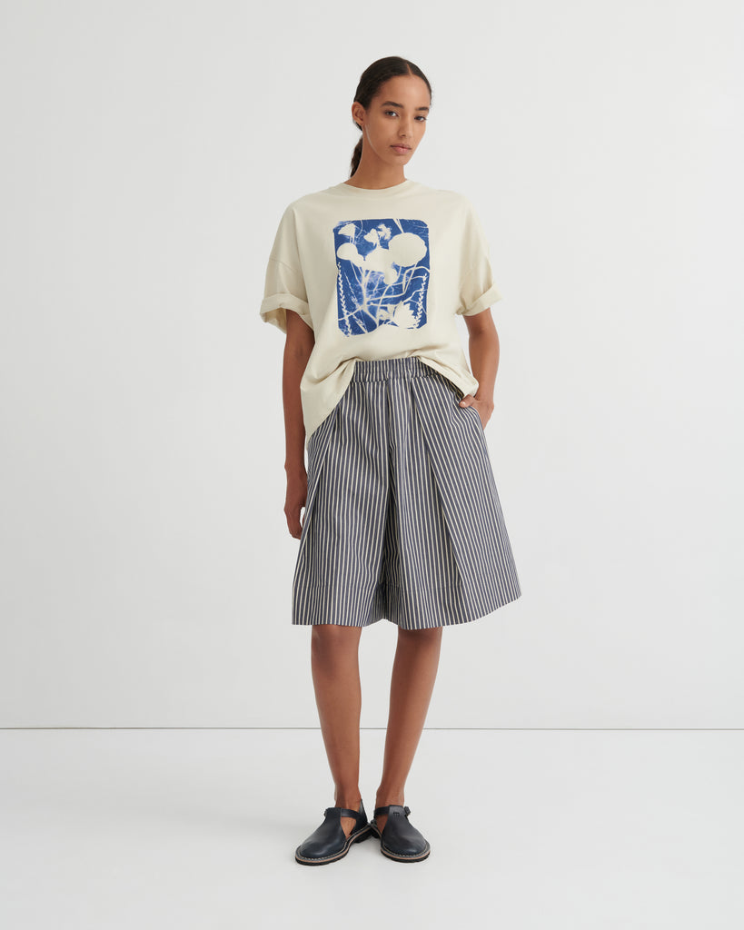 Ray Shorts - Evening Stripe