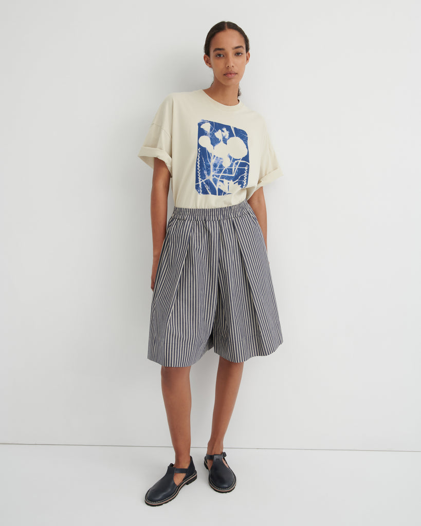 Ray Shorts - Evening Stripe
