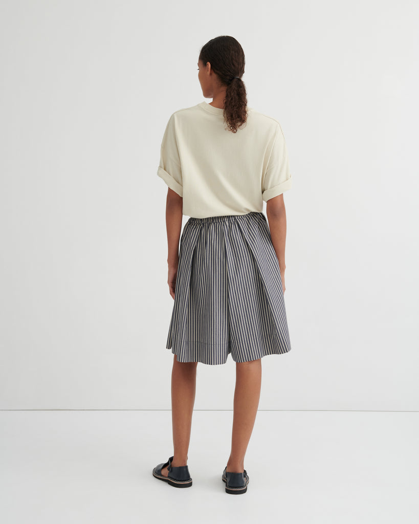 Ray Shorts - Evening Stripe