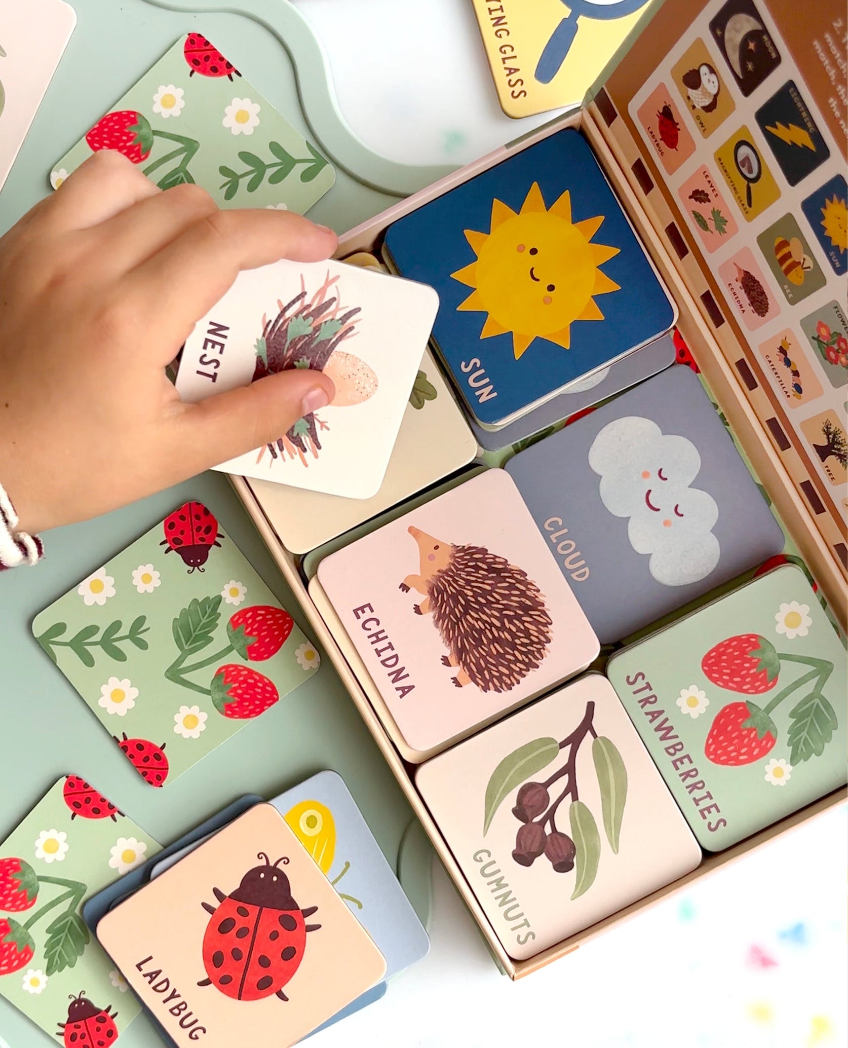 Lauren Sissons | Forest Finds Memory & Matching Game | Shop NZ – PAPER ...