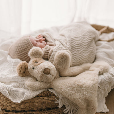 Buddy the Dog Cuddly