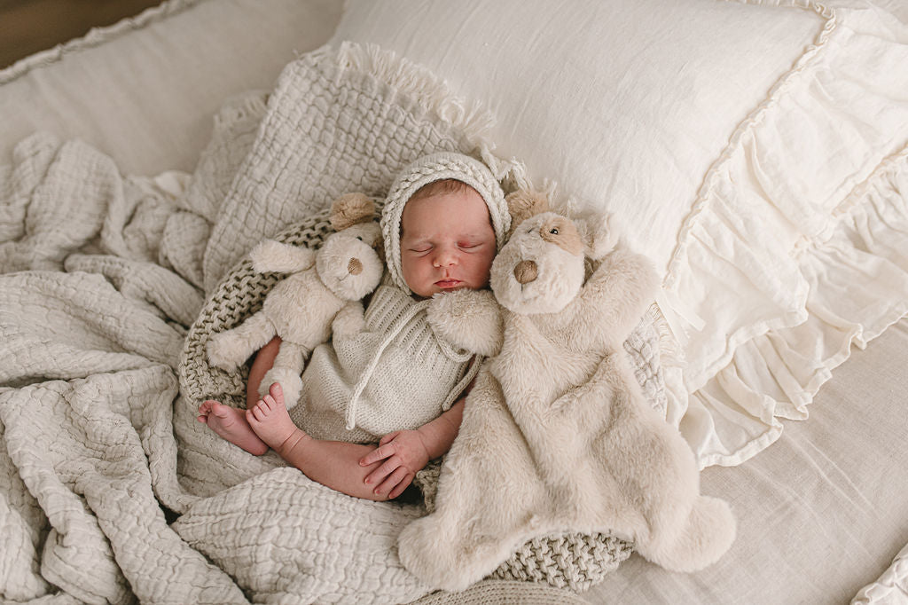 Buddy the Dog Cuddly