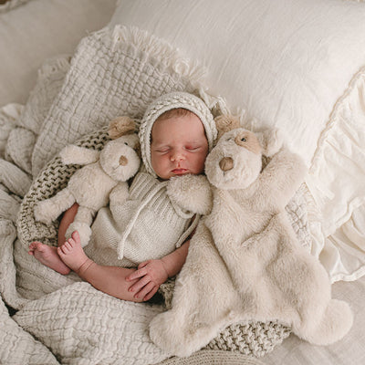 Buddy the Dog Cuddly