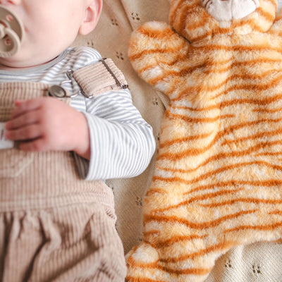 Ginger the Cat Cuddly