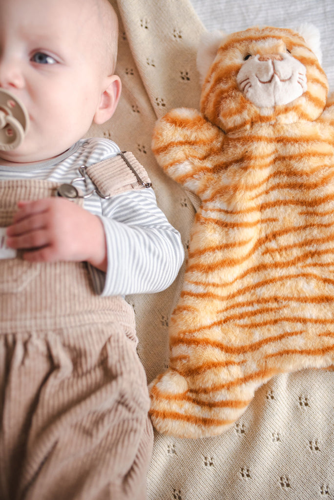 Ginger the Cat Cuddly