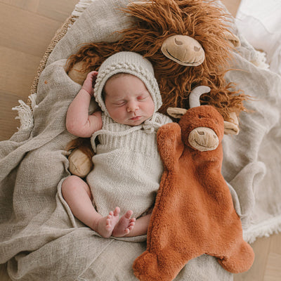Henry the Highland Cow Cuddly