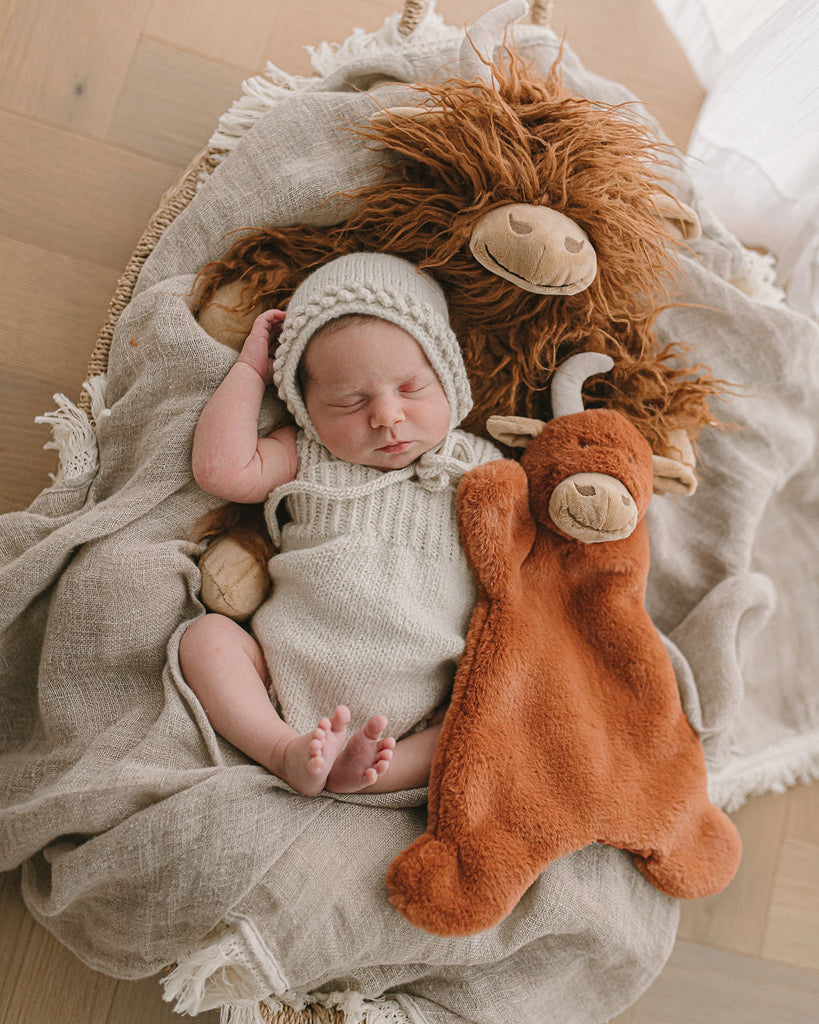 Henry the Highland Cow Cuddly