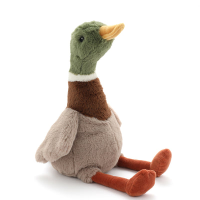 Hugo the Mallard Duck