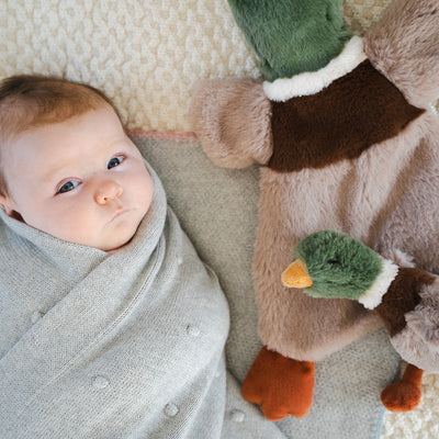 Hugo the Mallard Duck Cuddly
