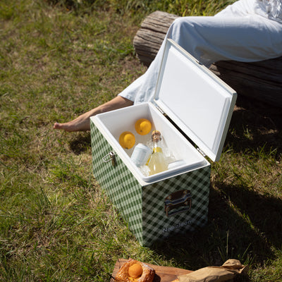 Chilly Bin - Avocado Gingham