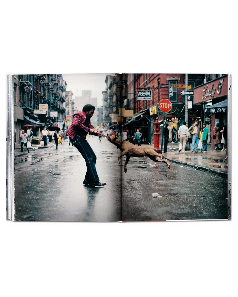 New York. Portrait of a City