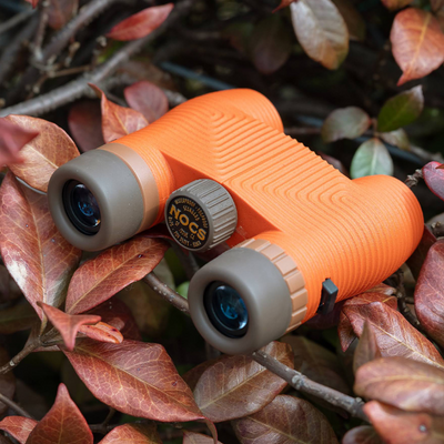 Standard Issue Waterproof Binoculars - Poppy Orange II