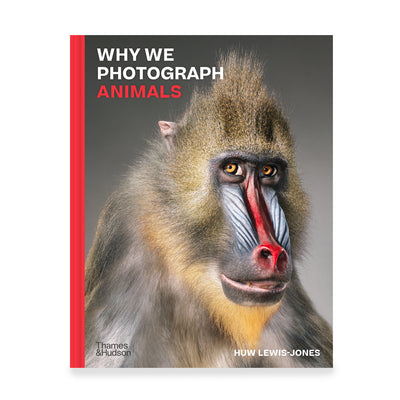 Why We Photograph Animals