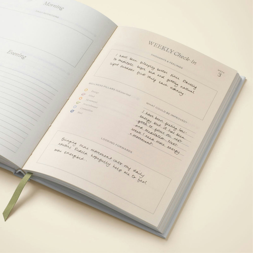 Wellness Journal - Sandstone