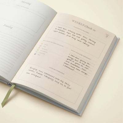 Wellness Journal - Sandstone