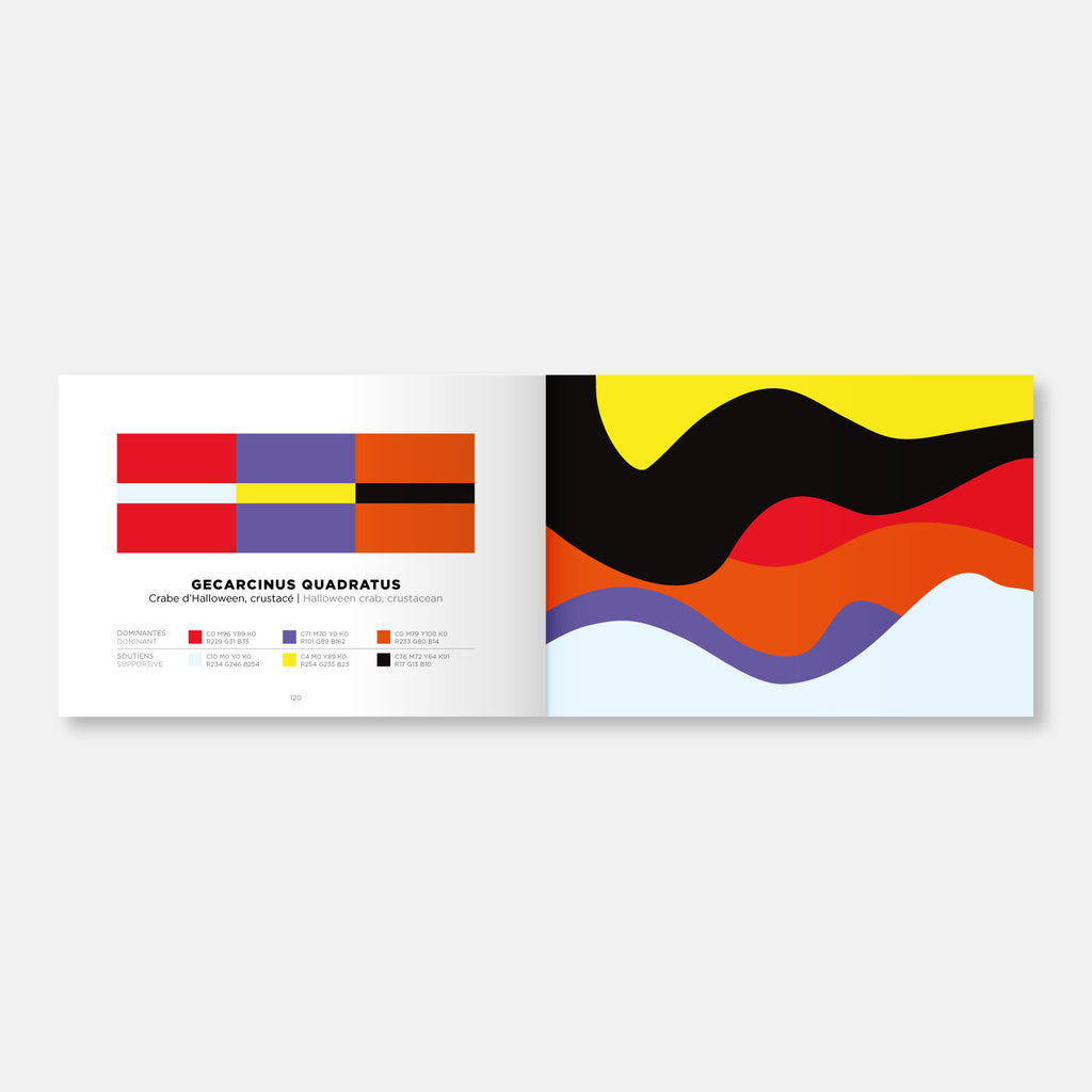 Colour Inspiration Book - Vol 2