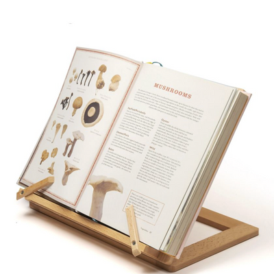 Beechwood Book Stand