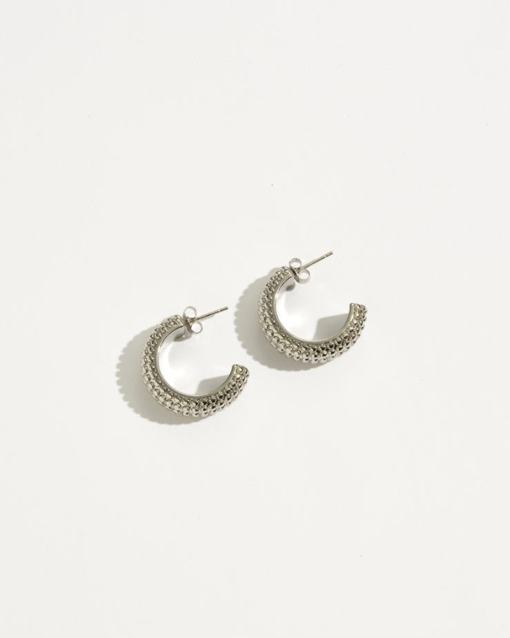 Selwyn Hoop Earrings