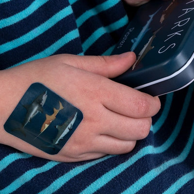 Plasters in a Tin - Sharks