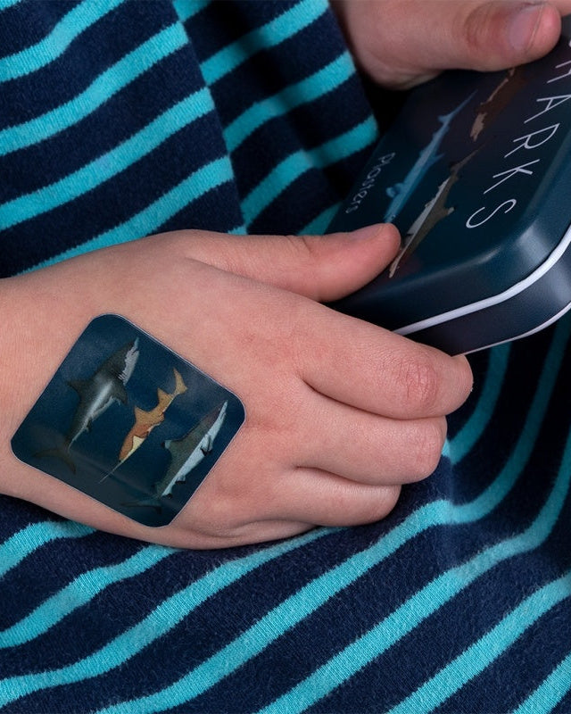Plasters in a Tin - Sharks