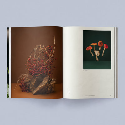 Sage Journal Vol. 2