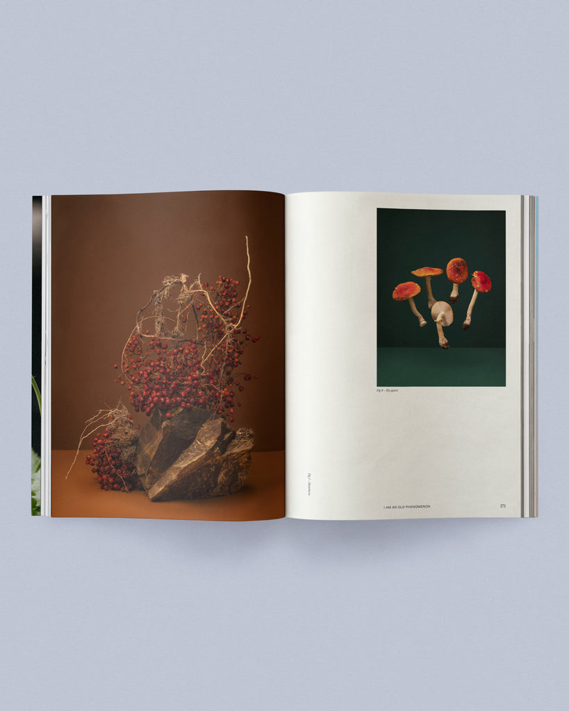 Sage Journal Vol. 2