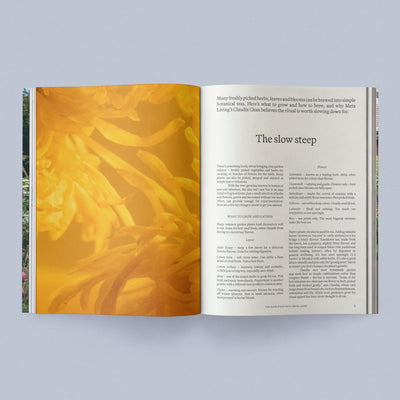 Sage Journal Vol. 2
