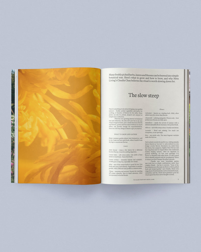 Sage Journal Vol. 2