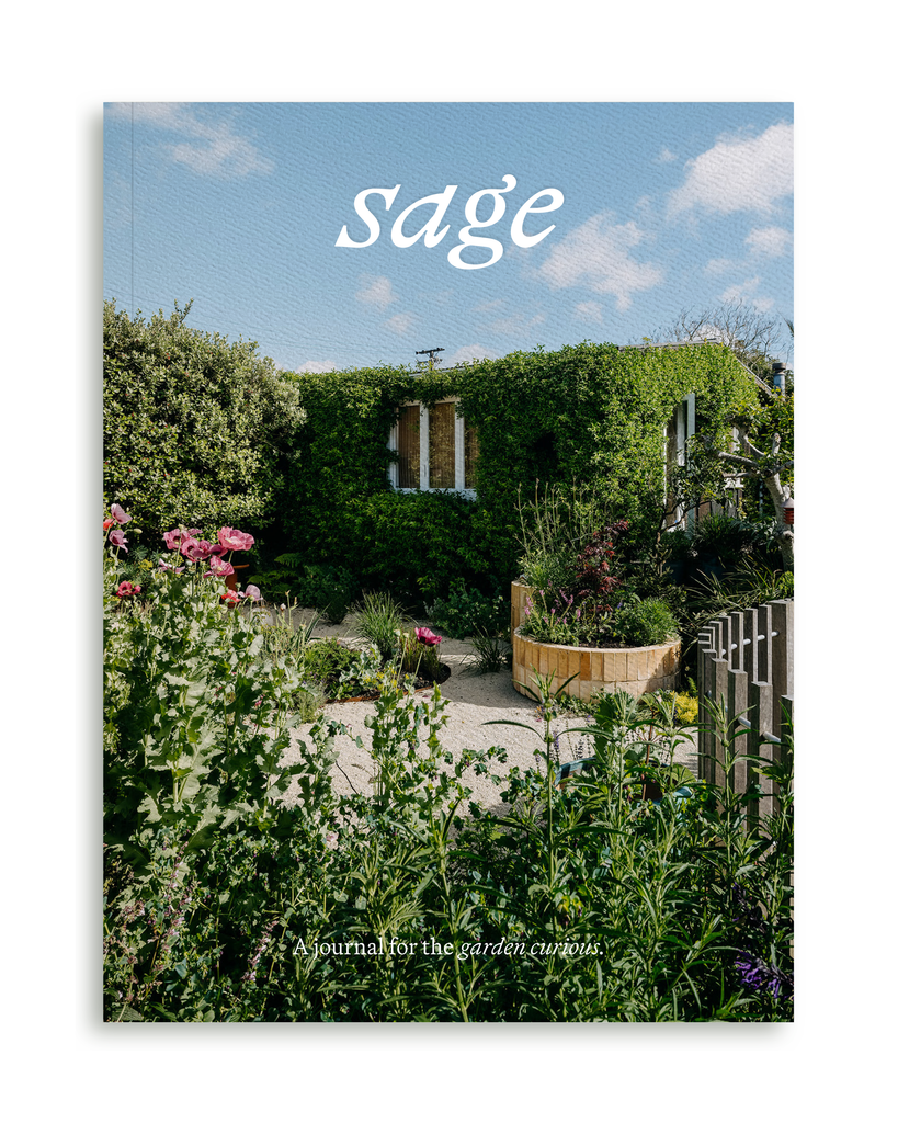 Sage Journal Vol. 2