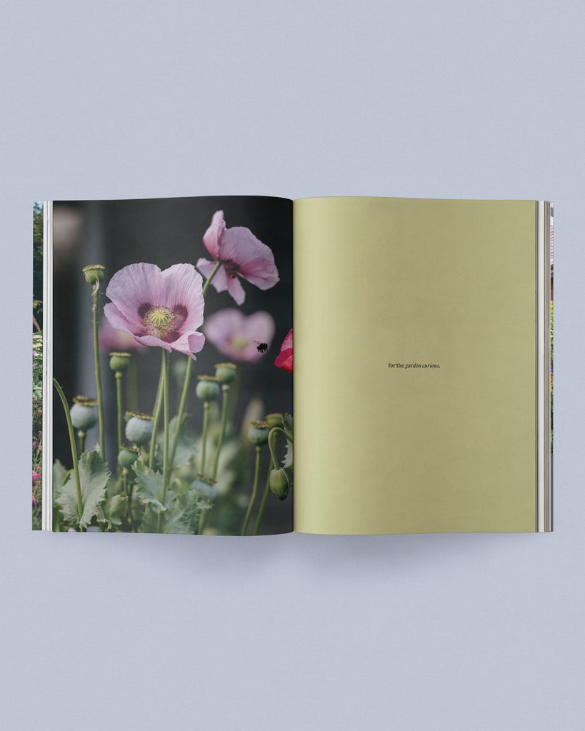 Sage Journal Vol. 2