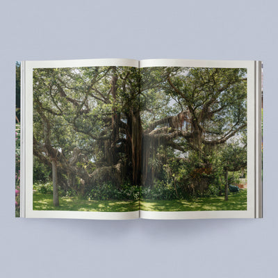 Sage Journal Vol. 2