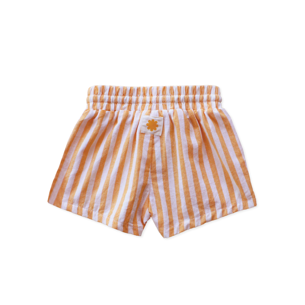 Sunshine Stripe Shorts