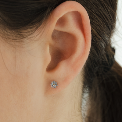 Chamomile Studs