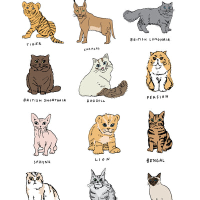 Print - Types of Cats