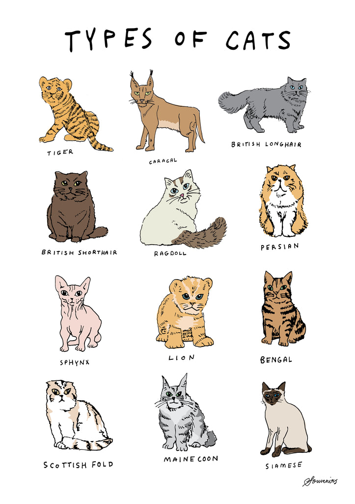 Print - Types of Cats