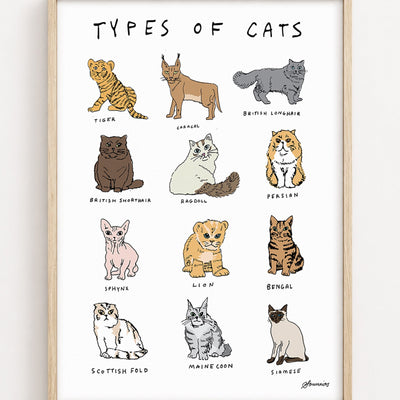 Print - Types of Cats