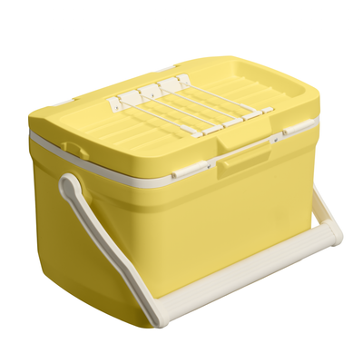 Easy Carry Outdoor Cooler - Daffodil