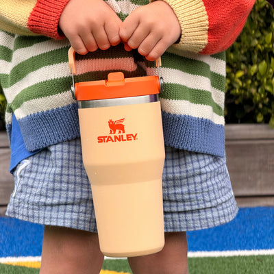 Flip Straw Tumbler 20oz - Orange Sherbet