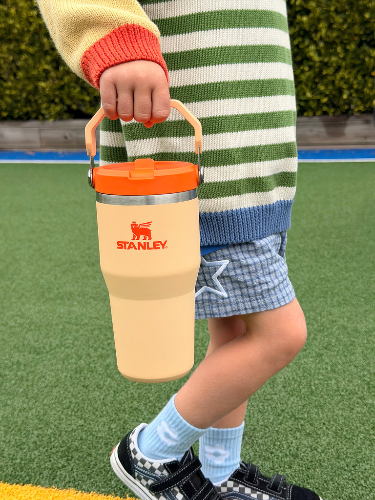 Flip Straw Tumbler 20oz - Orange Sherbet